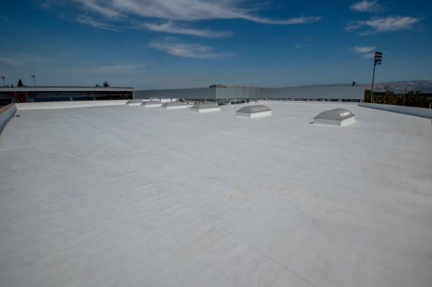 Best Solar Panel Roofing Installation  in St Matthews, SC