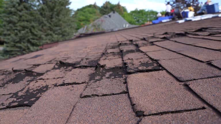 Best Gutter Installation and Repair  in St Matthews, SC