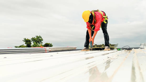 Best Roof Coating and Sealing  in St Matthews, SC